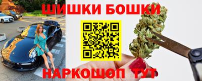 индика Пенза