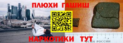 индика Пенза