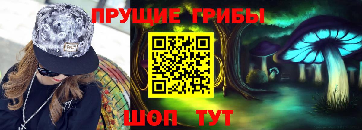 как найти закладки  Галлюциногенные грибы GOLDEN TEACHER  Спасск-Дальний  Вход с VPN  Галлюциногенные грибы Magic Shrooms 